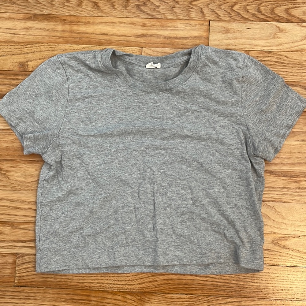 Aritzia Grey Comfy Baby Tee